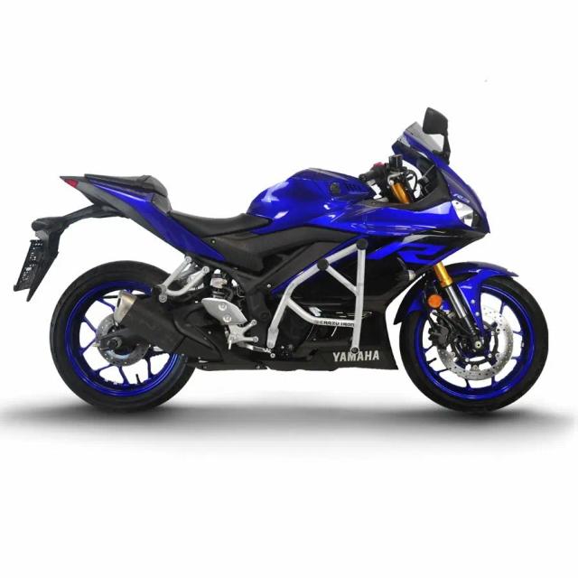 Yamaha R 25